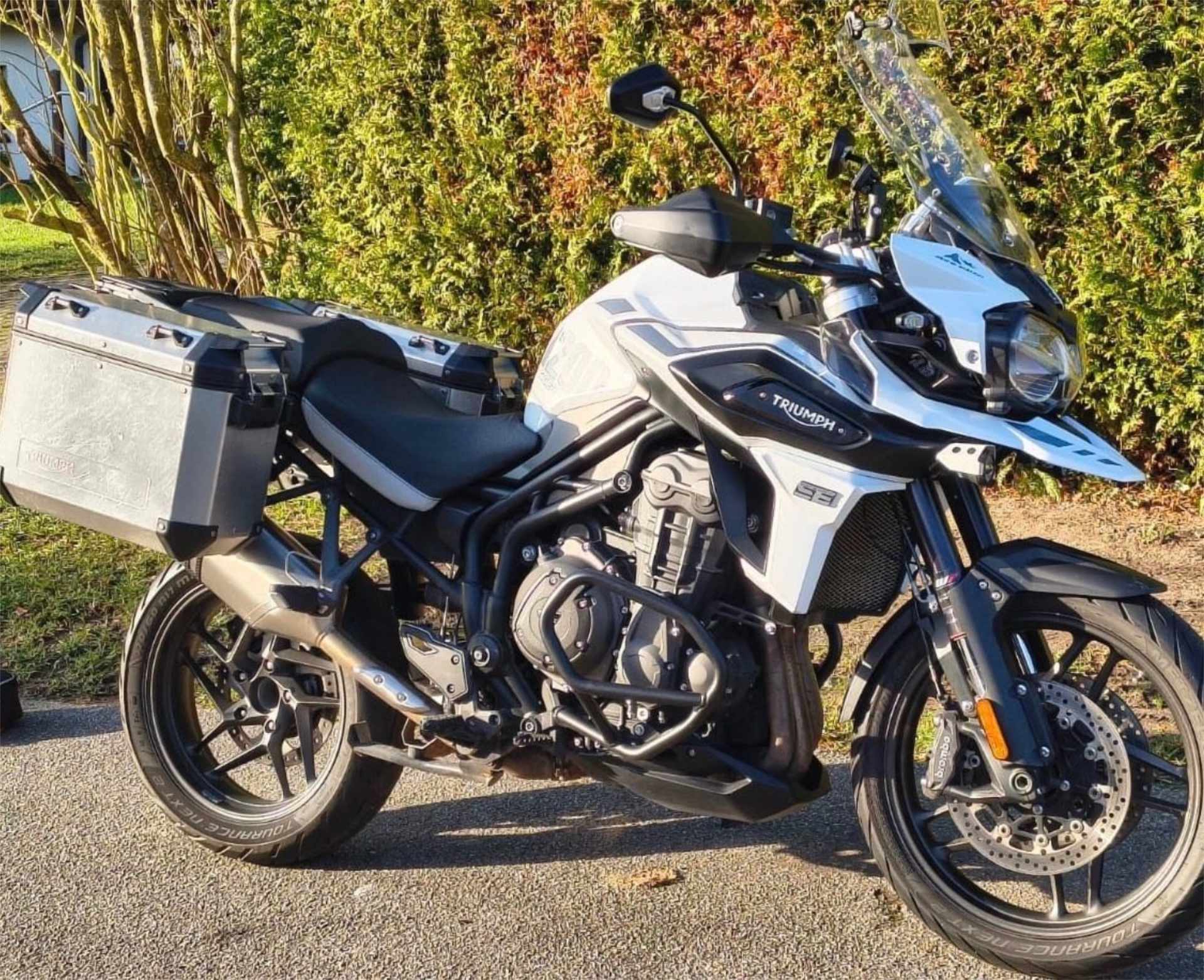 Meine Triumph Tiger 1200 Alpine Edition, mit der ich die längeren Touren von Kurvenjagd fahre.